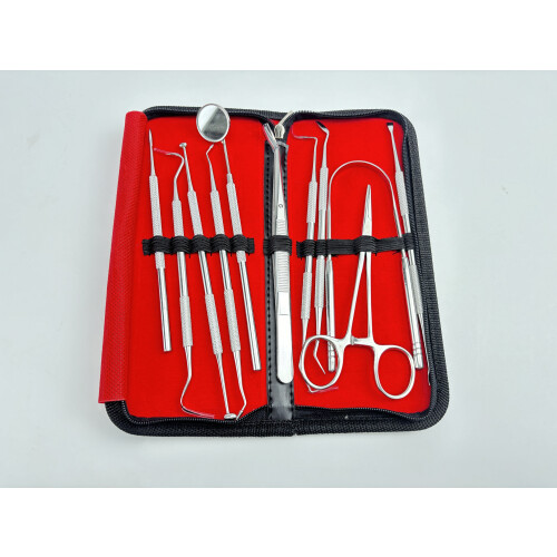 Dentalinstrumente aus Edelstahl, 11-teilig 2