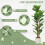 2x Artificial Fiddle Leaf Fig Trees - 120cm 5