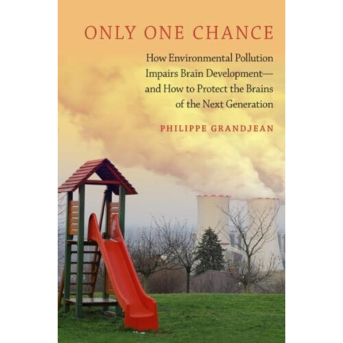 Only One Chance How Environmental Pollution Impairs Brain Development