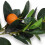 Homescapes Luxury Artificial Orange Tree, 120 cm 3