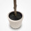 Homescapes Luxury Artificial Orange Tree, 120 cm 4