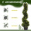 90cm Spiral Topiary Trees Set of 2 with Pots 6