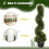 90cm Spiral Topiary Trees Set of 2 with Pots 4