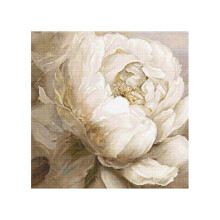 Kit point de croix - LetiStitch L8083 Poses de pivoine - 35x35 cm - Aida 16ct blanche - 50 couleurs Anchor
