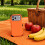 Protective Case for  18 Pro Max Rugged and Shockproof Case Full Coverage and Drop Protection 5