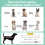 Cooling Raised Pet Bed - Light Grey, 76x61x69.5cm 4