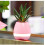 (SkyBlue) Creative Smart Music Flower Pot Touch Sensitive Bluetooth Pot Planter Speaker 1