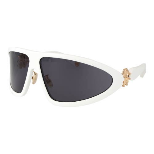 Roberto Cavalli Roberto Cavalli Sunglasses SRC042 04AO 79
