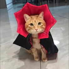 Cape de vampire rouge, taille unique