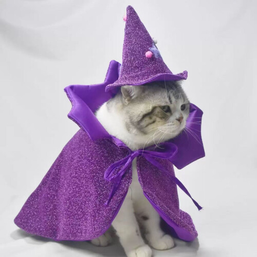 Purple Vampire Cape + Hat One Size 2