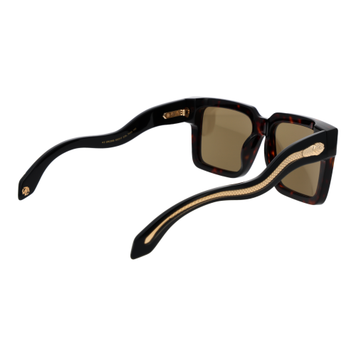 Roberto Cavalli Roberto Cavalli Sunglasses SRC055 743G 55 2