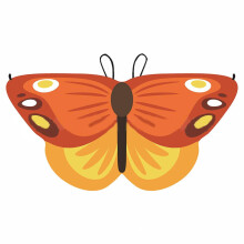 (orange) Children Butterfly Cape Wing Fancy Dress for Party Cosplays Butterfly Wing Costume, Rainbow Butterfly Shawl Wing Cloak blue green