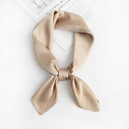 Écharpe carrée élégante Khaki 2