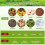 4 Pack Large Inground Worm Composter with Grid Lids Worm Compost Bin for Garden for Efficient Kitchen Waste Recycling 4