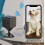 Wireless Security Camera 1080P Hd With Night Vision_Surprise Gift 1