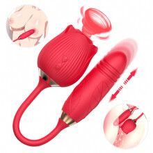 Vibromasseur Rose Clit G-Spot à succion et à pénétration, jouet sexuel compatible avec les femmes - Cadeau surprise