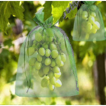 Pack of 100 bags in organza mesh, cord closure for the protection of fruits from parasites and birds-XYJ1