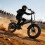 Electric bicycle - 20" Fat Tire , 48V15AH battery 1