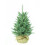 2ft National Tree Mini Everyday Artificial Christmas Tree 1
