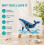 (Haima) DIY Sea Glass Craft Kit,Beginner Handmade Art Decoration Set 2