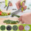 Cive, Spice Scissors, Garlic Scissors, 5 Blade Scissors Herb Scissors Kitchen Scissors Food Scissors Multifunctional Kitchen Scissors Scisso 4