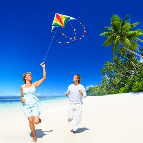 Kite for Kids and Adults-Easy to Fly for Beginners 1