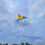 Kite for Kids and Adults-Easy to Fly for Beginners 4