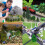 55 Pieces Model Building Trees, Model Trees Miniature Landscape Model Trees 7