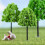 55 Pieces Model Building Trees, Model Trees Miniature Landscape Model Trees 8