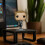 Funko Funko POP! Games: Metal Gear Solid - The Big Boss 2