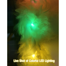 Colorful Feather Boas, 6.6ft Boa with 20 Color LED Lights for Women for Dancing Wedding Party Halloween, with Heart Sunglasses (Yellow)