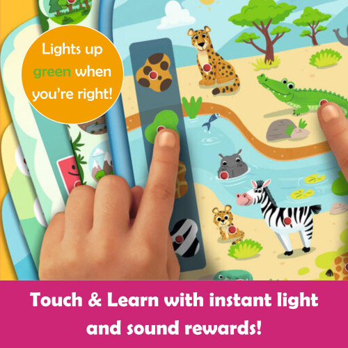 Galt Galt Electro Early Learning Game with 350+ Questions, Touch & Learn 1