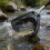 Aluminum Alloy Triangular Folding Short Section Fishing Net Easy Transport Outdoors For 8