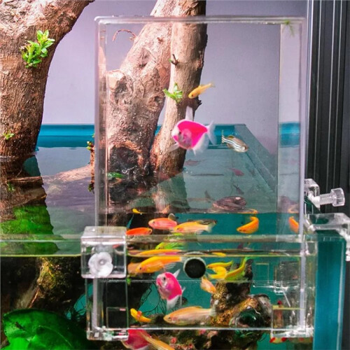 Desktop Fighting Fish Tank Negative Pressure Transparent Ecological Aquarium