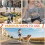 Dog Leash, Hands-Free Dog Leash, Elastic Jogging Leash 145-200cm, Anti-Pull, Reflective, Adjustable Belt, Double Handle for R 4