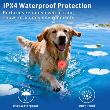 Wiederaufladbare LED-Hundehalsbandleuchte mit Clip, wasserdichte USB-Sicherheitsleuchte für Hunde, Katzen und die Sichtbarkei
