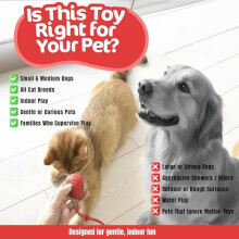 Pelota interactiva para perros, pelota rodante activa para perros, juguetes para gatos, juguetes inteligentes interactivos pa