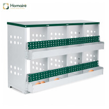 HOMAIRE 8-Compartment Green Chicken Nesting Box