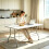 HOMAIRE 6ft Folding White Portable Table 6