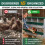 HOMAIRE 8-Compartment Green Chicken Nesting Box 6