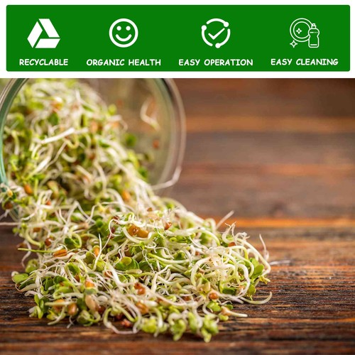 2PCS Seed Sprouting Jar Kit with Lids Stand Tray Sprouts Maker Germinator CLEAR 1