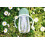 BEABA BEABA, Babyflasche/Trainingsbecher/Strohbecher 300 ml, Salbeigrün 3