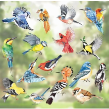 17 pegatinas de pájaros primaverales para ventanas, calcomanías coloridas de colibríes para ventanas, película protectora anticolisión para