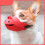 Ρύγχος Rhino Snout XL (18-20cm) για μεσαίους/μεγάλους σκύλους. Αντιδαγκώνει και αν 3