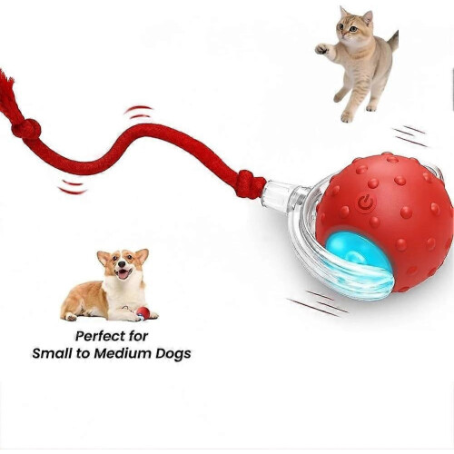 Παιχνίδι Tiny Fetch για σκύλους, διαδραστικά παιχνίδια Tinyfetch για σκύλους κα 1