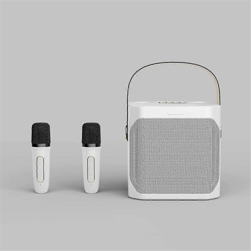 Krachtige Bluetooth karaoke-luidspreker met dubbele microfoon, wit
