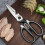 Panda Design Kitchen Shears with Sheath - Multi-Tool Stainless Steel Scissors (Bottle Opener, Nut Cracker, Herb Cutter) 4