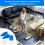 2 Piece Filter Set, 5-Piece Complete Replacement Compatible with Thomas Aqua+ Vacuum Cleaners, Alternative to Filter Set 4