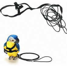 Adjustable Bird Harness and Leash for Parrots, Cockatiels, Mynahs and Small to Medium Birds, Neck Girth 3.54 Inches, Com