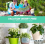 Automatic Indoor Watering System for 15 Potted Plants, Programmable Drip Irrigation Kit with Water Timer and Smart Moist 3